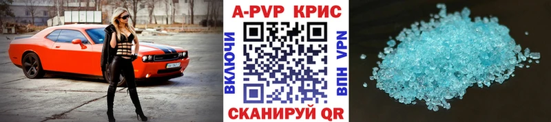 OMG   Шенкурск  A-PVP СК 