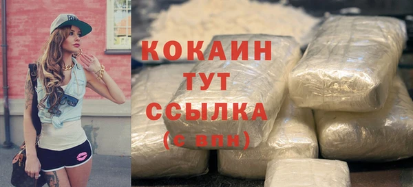 индика Наволоки