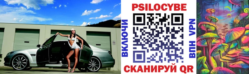 Псилоцибиновые грибы Psilocybe  Шенкурск 